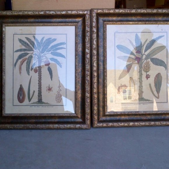 NEW SET OF PALM TREE PRINTS IN CARVED WOOD FRAMES - Picture 2 of 3